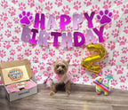 Pawty Box