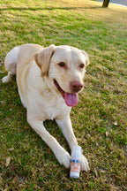 Large Paw Balm