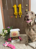 Pawty Box