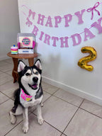 Pawty Box