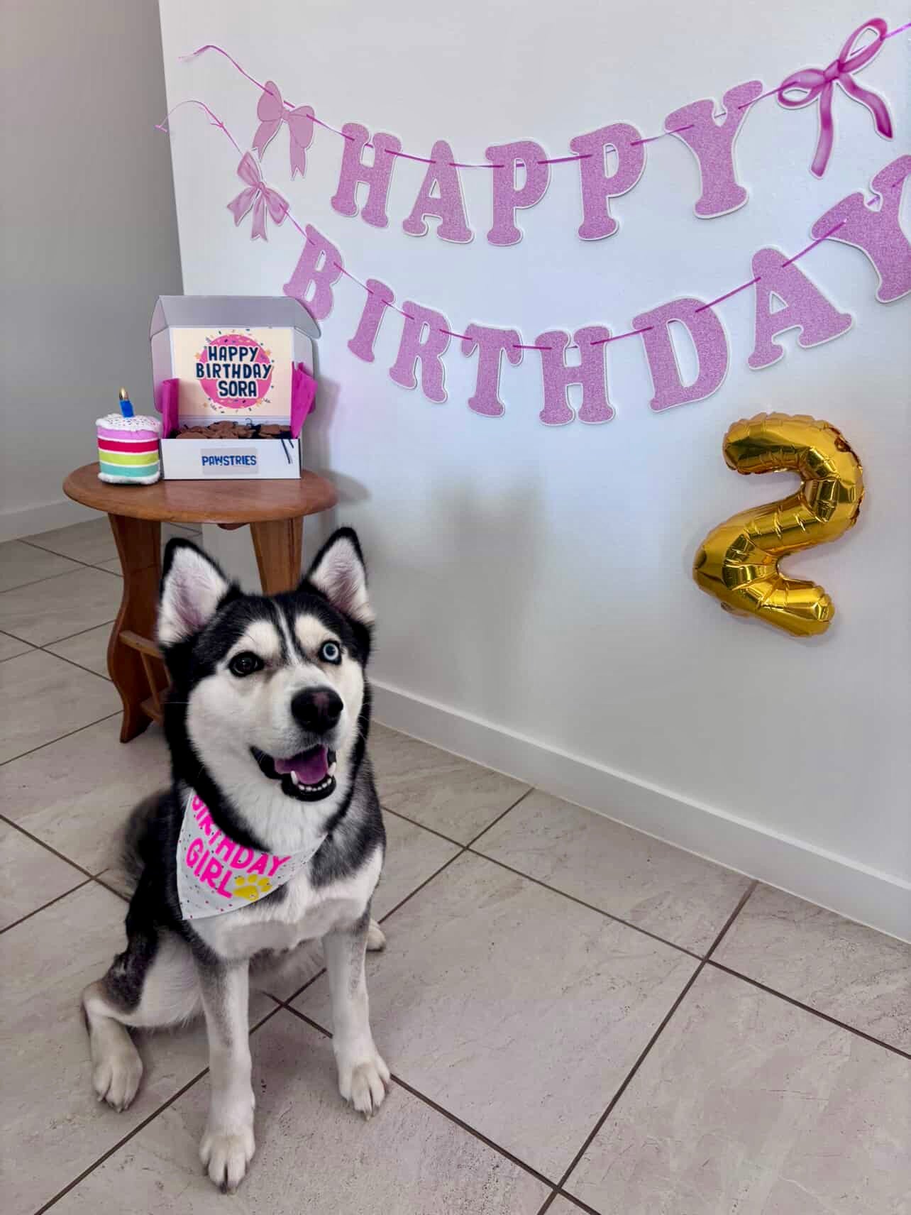 Pawty Box