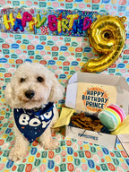 Pawty Box