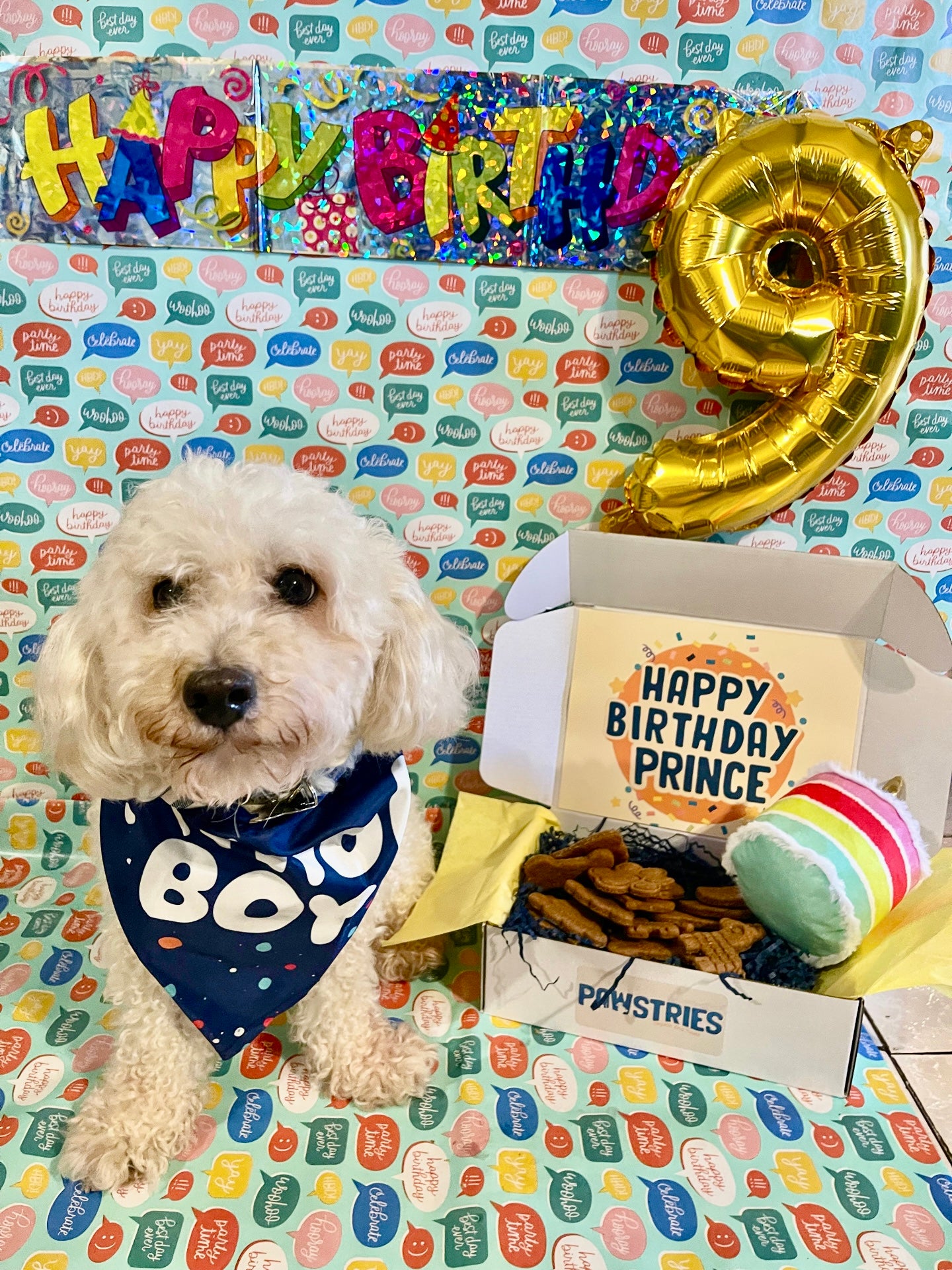 Pawty Box
