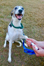 Small Paw Balm