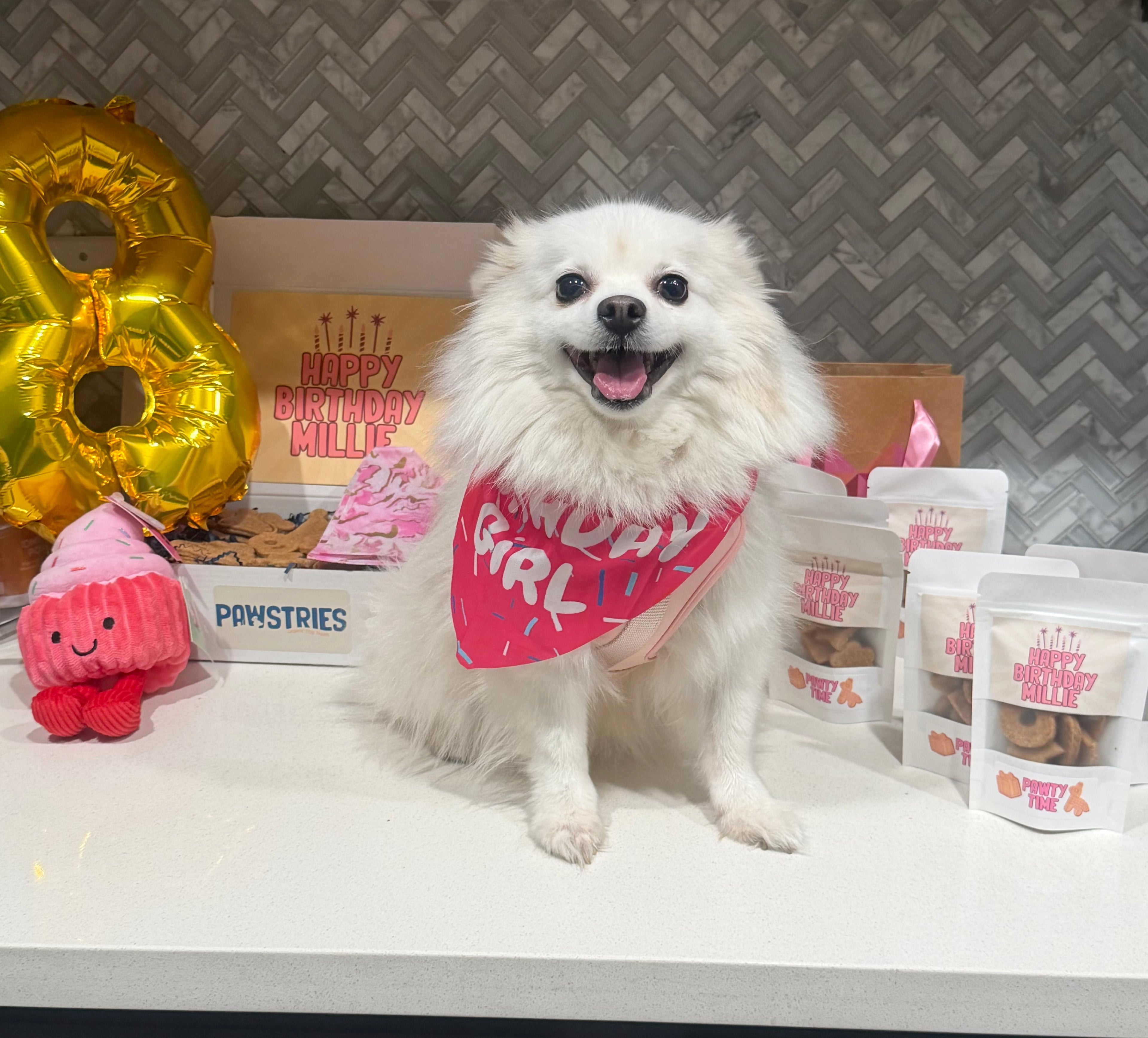 Pawty Box